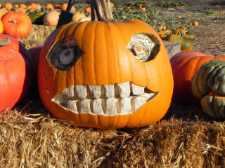 Big teeth just gets better with age, Nipomo Pumpkin Patch best carving idea